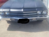 1969 Chevrolet Chevelle for sale in Michigan (ID-162956)