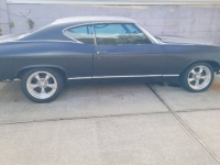 1969 Chevrolet Chevelle for sale in Michigan (ID-162956)