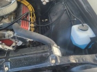 1969 Chevrolet Chevelle for sale in Michigan (ID-162956)