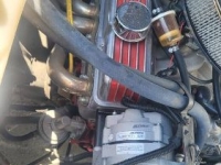 1969 Chevrolet Chevelle for sale in Michigan (ID-162956)