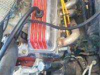 1969 Chevrolet Chevelle for sale in Michigan (ID-162956)