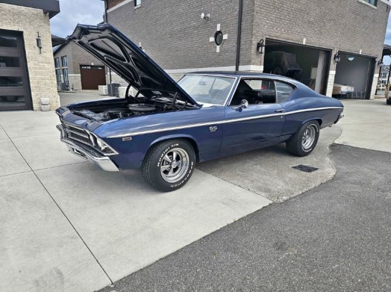 1969 Chevrolet Chevelle for sale in Michigan (ID-163530)