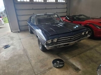 1969 Chevrolet Chevelle for sale in Michigan (ID-163530)