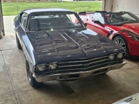 1969 Chevrolet Chevelle for sale in Michigan (ID-163530)