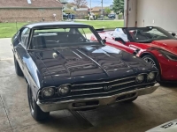 1969 Chevrolet Chevelle for sale in Michigan (ID-163530)