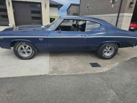 1969 Chevrolet Chevelle for sale in Michigan (ID-163530)