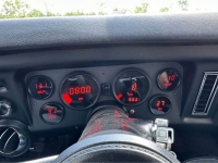 1969 Chevrolet Chevelle for sale in Michigan (ID-163581)