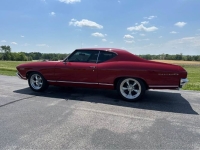 1969 Chevrolet Chevelle for sale in Michigan (ID-163581)
