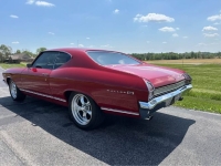 1969 Chevrolet Chevelle for sale in Michigan (ID-163581)