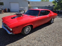 1969 Chevrolet Chevelle for sale in Michigan (ID-164101)