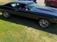 1969 Chevrolet Chevelle for sale in Michigan (ID-164215)