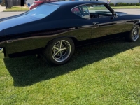 1969 Chevrolet Chevelle for sale in Michigan (ID-164215)