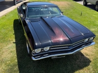 1969 Chevrolet Chevelle for sale in Michigan (ID-164215)