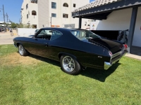 1969 Chevrolet Chevelle for sale in Michigan (ID-164215)