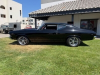 1969 Chevrolet Chevelle for sale in Michigan (ID-164215)