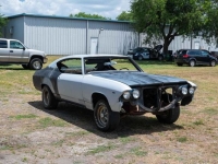 1969 Chevrolet Chevelle SS for sale in Riverhead, New York (ID-128663)