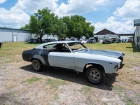 1969 Chevrolet Chevelle SS for sale in Riverhead, New York (ID-128663)