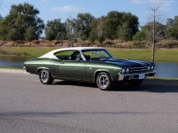 1969 Chevrolet Chevelle SS for sale (ID-126690)