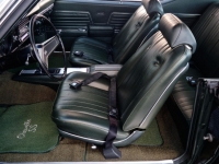1969 Chevrolet Chevelle SS for sale (ID-126690)