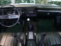 1969 Chevrolet Chevelle SS for sale (ID-126690)