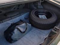 1969 Chevrolet Chevelle SS for sale (ID-126690)