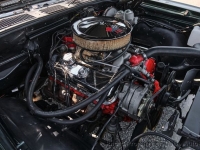 1969 Chevrolet Chevelle SS for sale in Riverhead, New York (ID-134984)