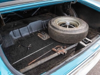 1969 Chevrolet Chevelle SS for sale (ID-135204)