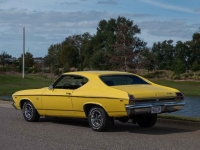 1969 Chevrolet Chevelle SS for sale (ID-135747)