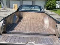 1969 Chevrolet El Camino for sale in Michigan (ID-100835)