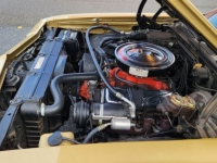 1969 Chevrolet El Camino for sale in Michigan (ID-108490)