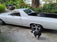 1969 Chevrolet El Camino for sale (ID-145538)