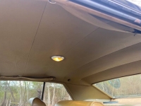 1969 Chevrolet Impala for sale in Michigan (ID-126801)