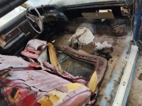 1969 Chevrolet Impala for sale in Michigan (ID-136753)