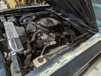 1969 Chevrolet Malibu for sale in Michigan (ID-125979)