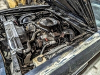1969 Chevrolet Malibu for sale in Michigan (ID-125979)