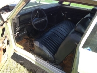1969 Chevrolet Nova for sale in Michigan (ID-128354)