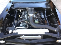 1969 Chevrolet Nova for sale in Michigan (ID-133339)