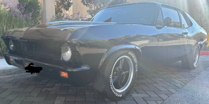 1969 Chevrolet Nova for sale in Michigan (ID-133376) 1969 Chevrolet Nova for sale in Michigan (ID-133376)