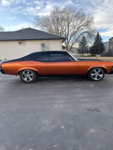 1969 Chevrolet Nova for sale in Michigan (ID-142432)
