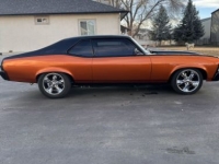 1969 Chevrolet Nova for sale in Michigan (ID-142432)
