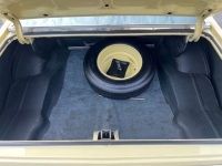 1969 Chevrolet Nova for sale in Michigan (ID-156207)