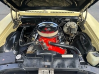 1969 Chevrolet Nova for sale in Michigan (ID-156207)