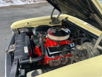 1969 Chevrolet Nova for sale in Michigan (ID-156207)