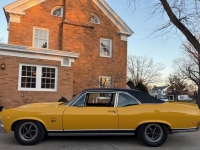 1969 Chevrolet Nova for sale in Michigan (ID-161156)