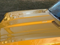 1969 Chevrolet Nova for sale in Michigan (ID-161156)