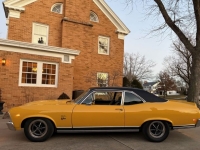 1969 Chevrolet Nova for sale in Michigan (ID-161156)