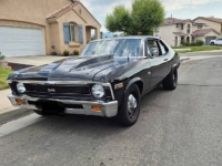 1969 Chevrolet Nova for sale in Michigan (ID-162788)