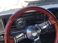 1969 Chevrolet Nova for sale in Michigan (ID-162788)