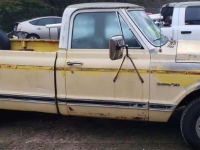 1969 Chevrolet Pickup for sale in Michigan (ID-123045)
