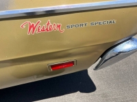 1969 Dodge Dayton for sale in Michigan (ID-116462)